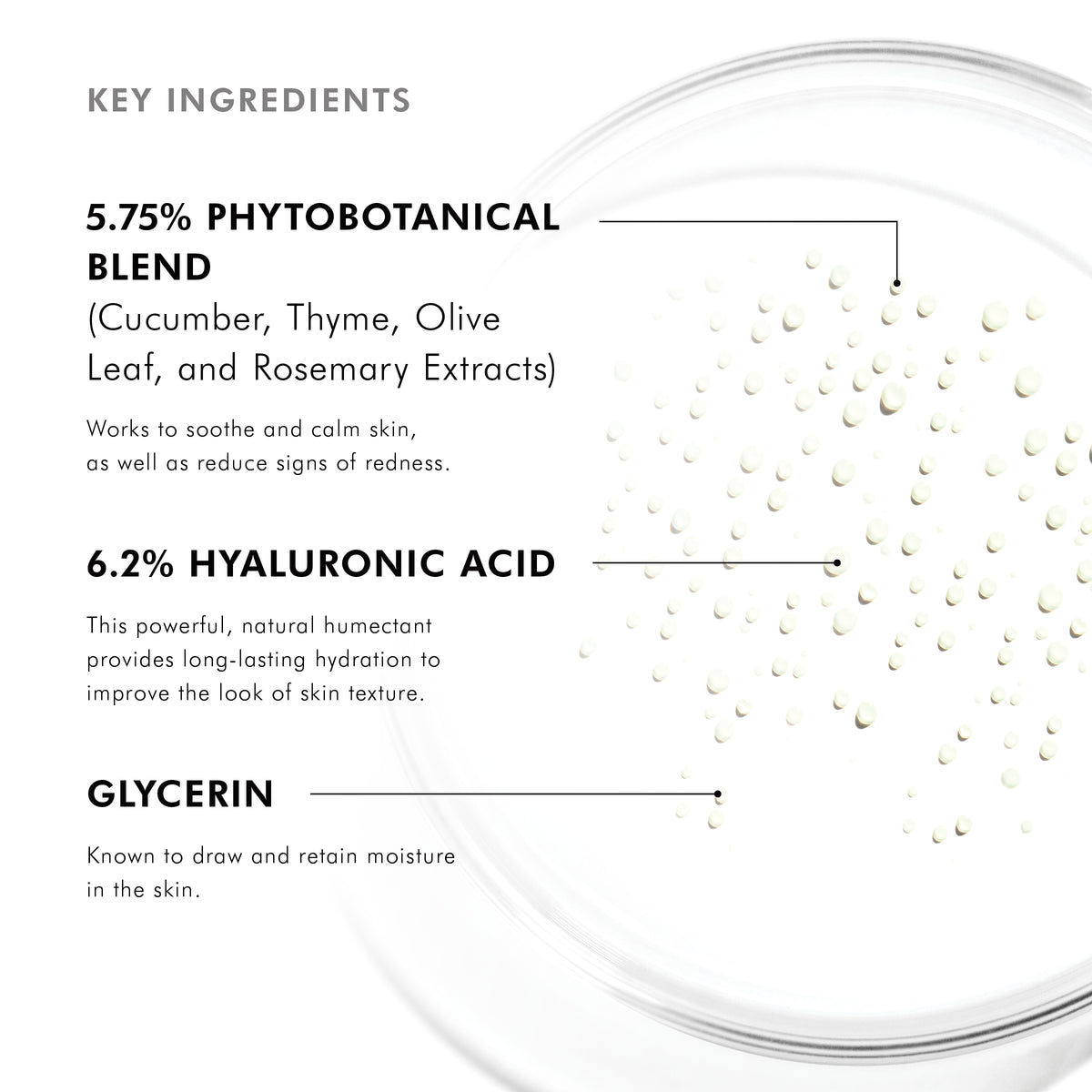 Phyto Essence Mist