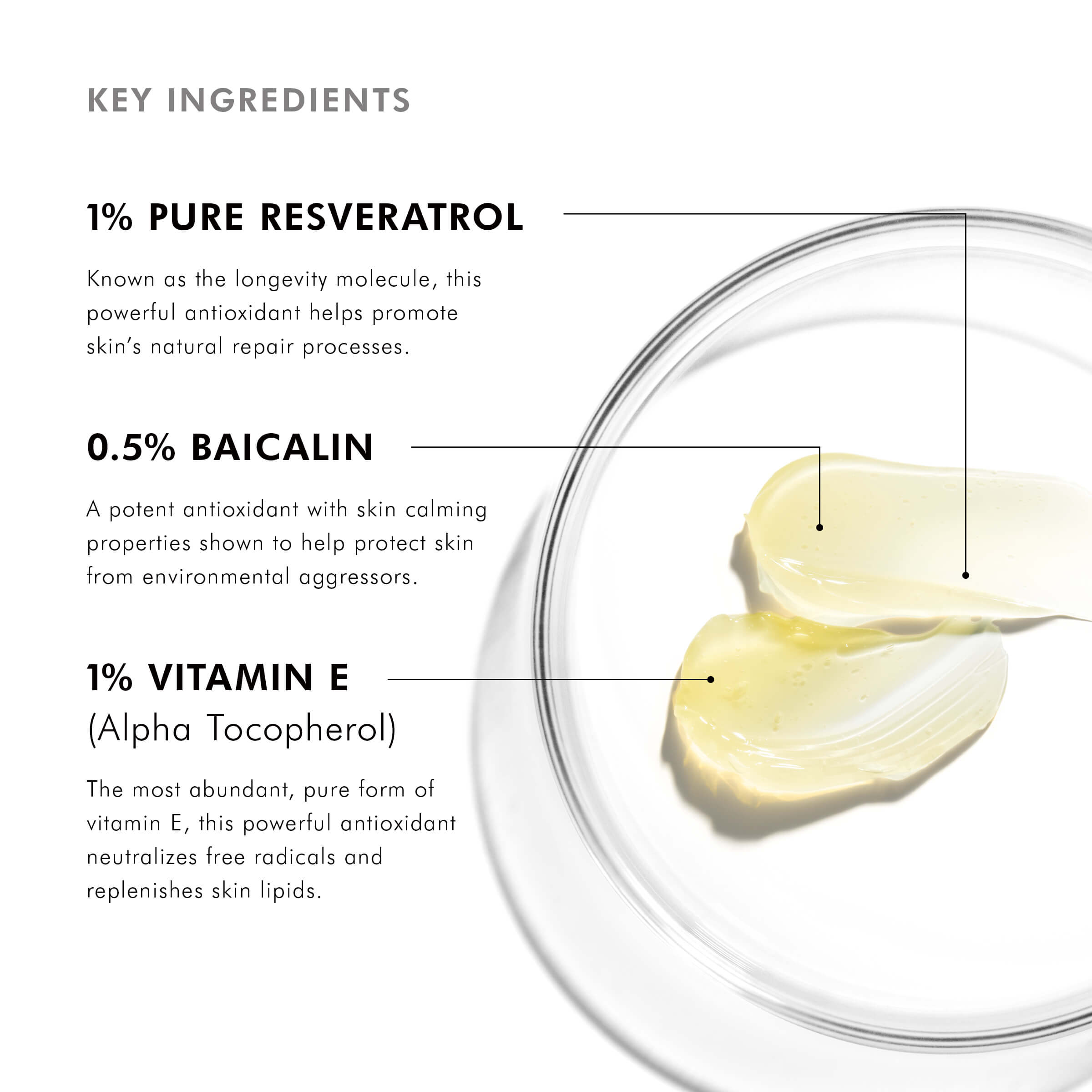 Resveratrol BE